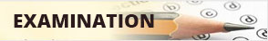 Aotomation of court